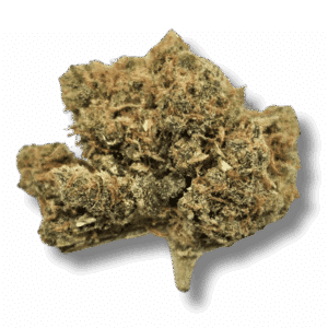Amnesia CBX 10%