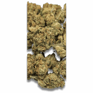 Amnesie CBX 10%