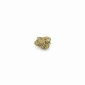Tropical Dream CBX 15%