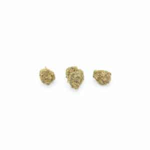 Tropical Dream CBX 15%