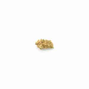 Master Kush kleine Blüten CBD