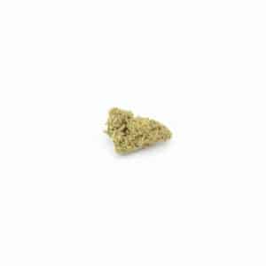 Perro químico con CBD