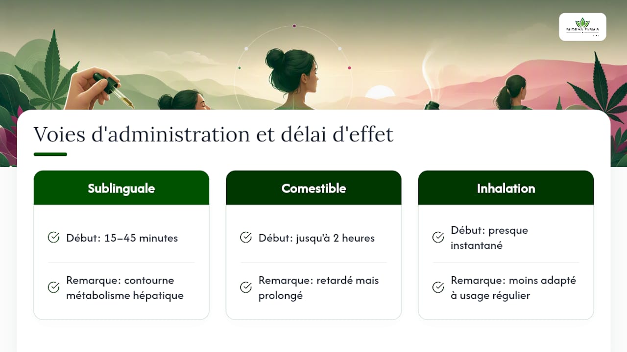Comparaison des temps d’action des différentes formes de CBD