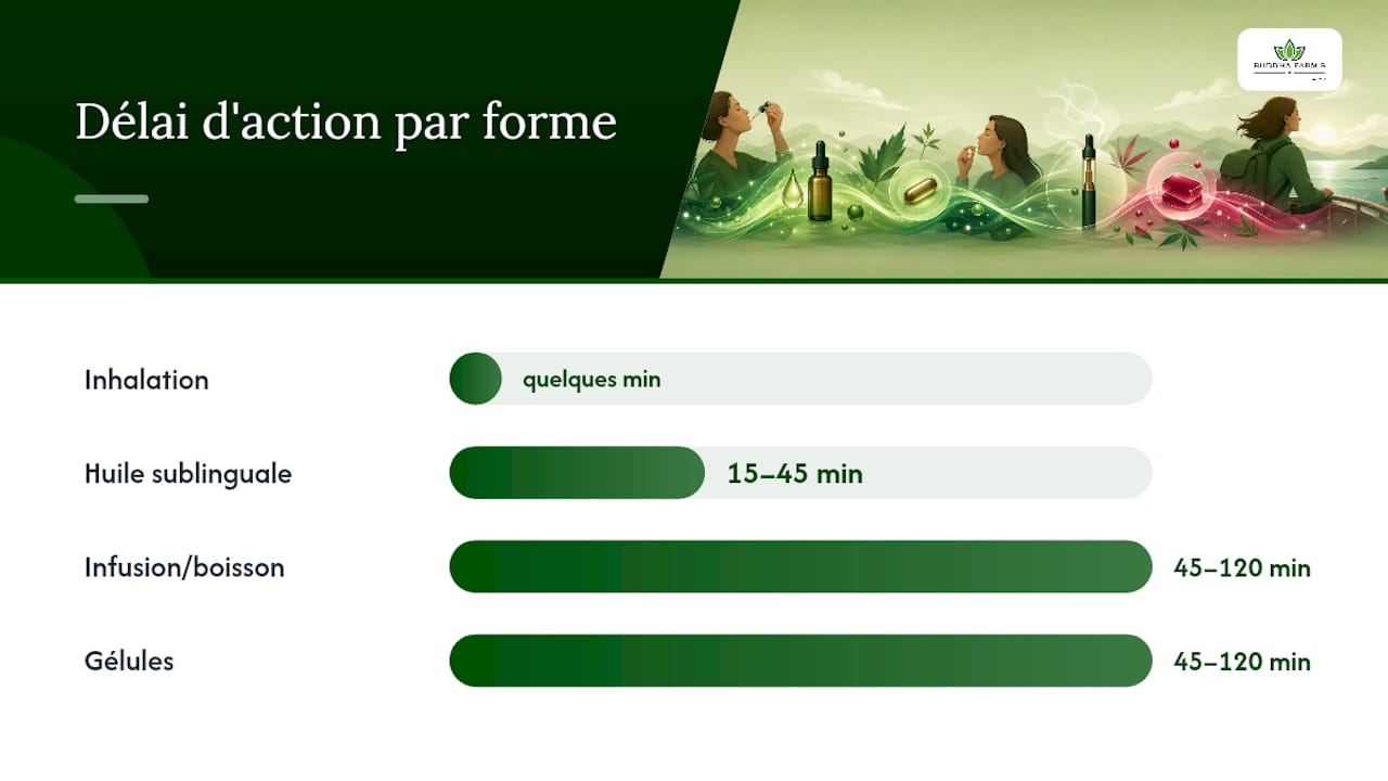 Quelle forme de CBD choisir contre la nausée, et à quel dosage ? — overview diagram