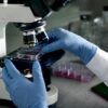Recherche en culture cellulaire sur l'inflammation et le CBD