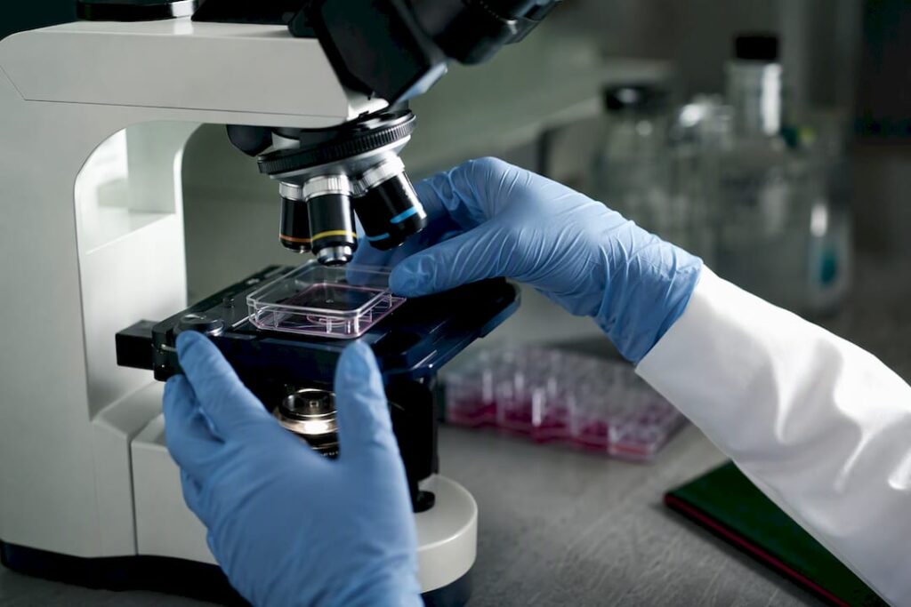 Recherche en culture cellulaire sur l'inflammation et le CBD
