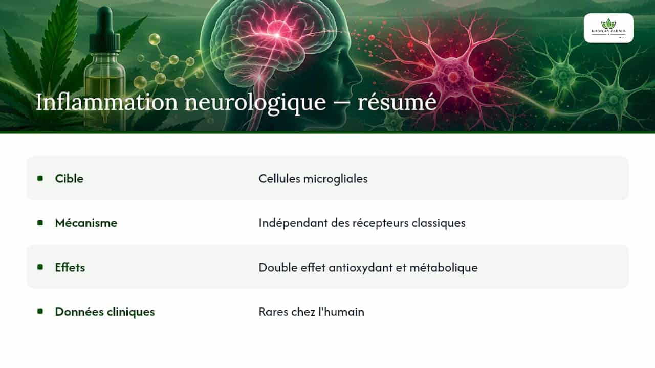 3. Inflammation neurologique — overview diagram