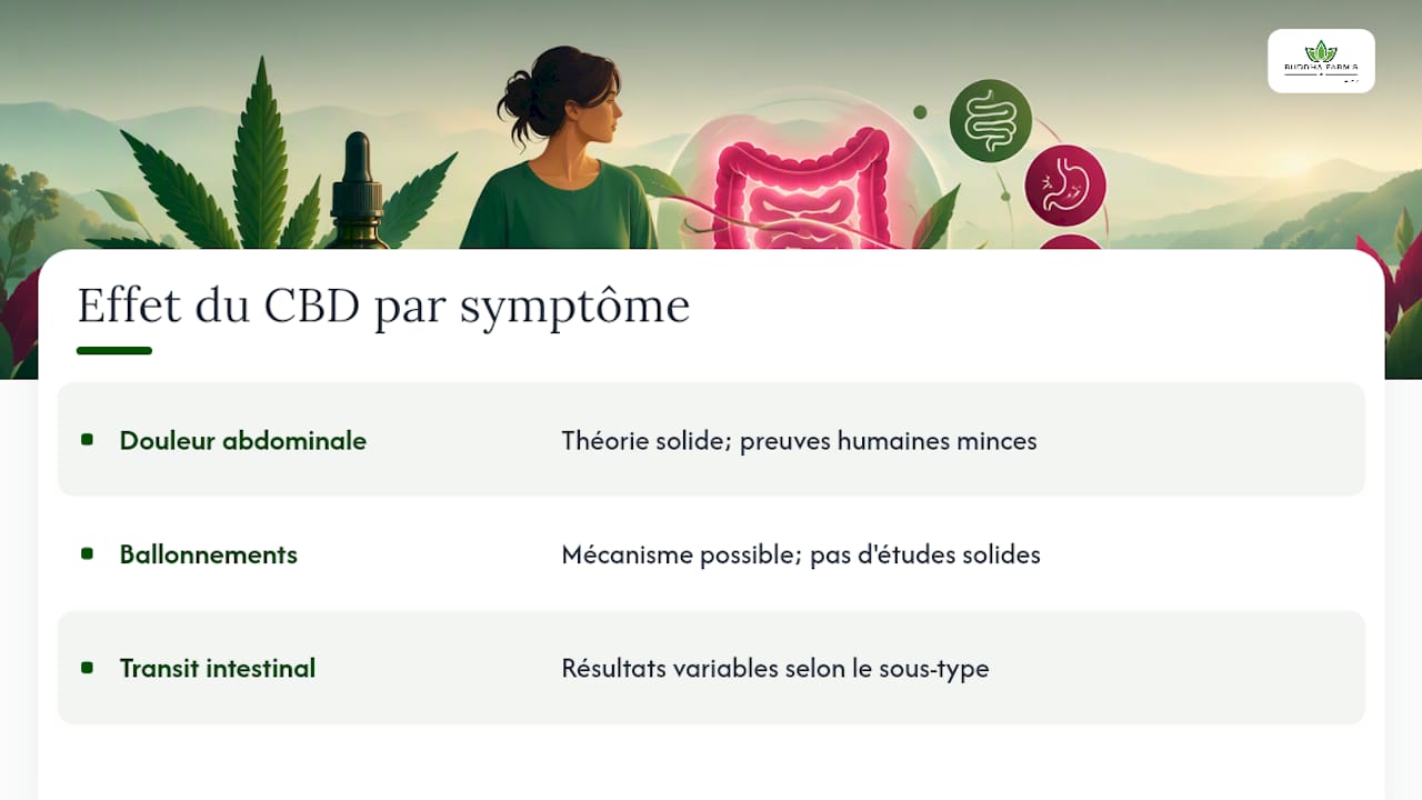 CBD et côlon irritable : que peut-on vraiment en attendre ? 1 Quels symptômes du SII le CBD pourrait aider (et lesquels pas) ? — overview diagram