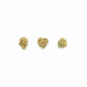 ORANGE BUD KLEINE BLÜTEN CBD