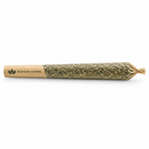 PRE ROLL RIFF CBE