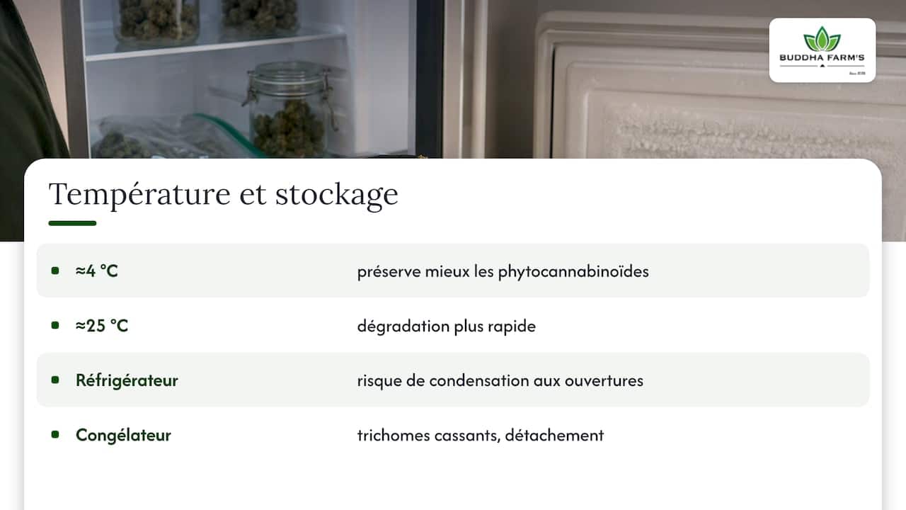 Comment conserver fleurs CBD : méthode simple et efficace 2 Impact de la température sur la conservation des fleurs