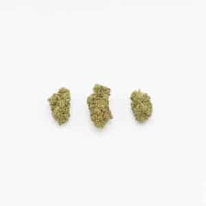 PAYTON CBX DE FRESA 10%
