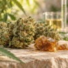 Qu’est-ce que le HCT ? Origine, effets annoncés, différences avec le THC et points à vérifier : le guide complet de Buddha Farm’s.