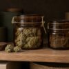 Réussissez la conservation du CBD : bocaux, lumière, chaleur, humidité et erreurs à éviter pour préserver vos fleurs et résines avec Buddha Farm’s.